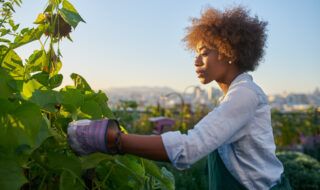 Woman with gloves on working a garden vine
